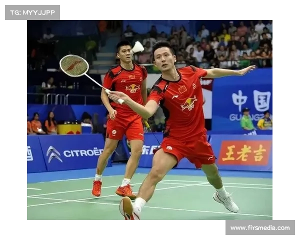 2017羽球赛事、2017羽毛球冠军