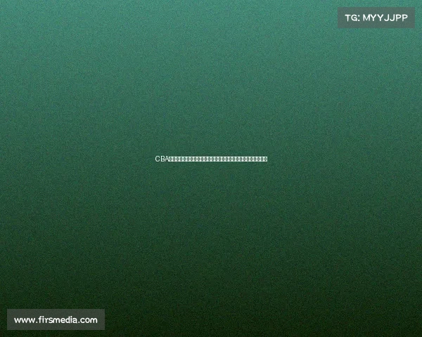 CBA赛事级别全方位解析中国男子篮球职业联赛竞技高度与发展前景