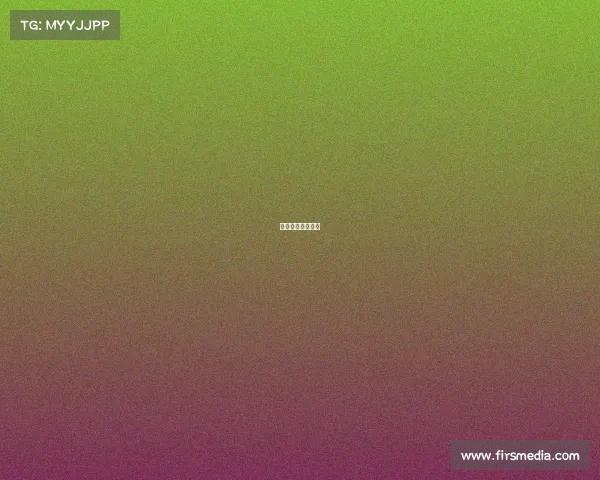 世界主要排球赛事