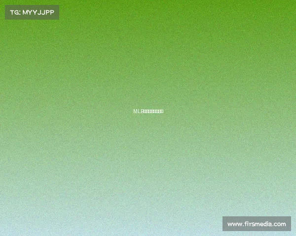 MLB夏日棒球激战正酣